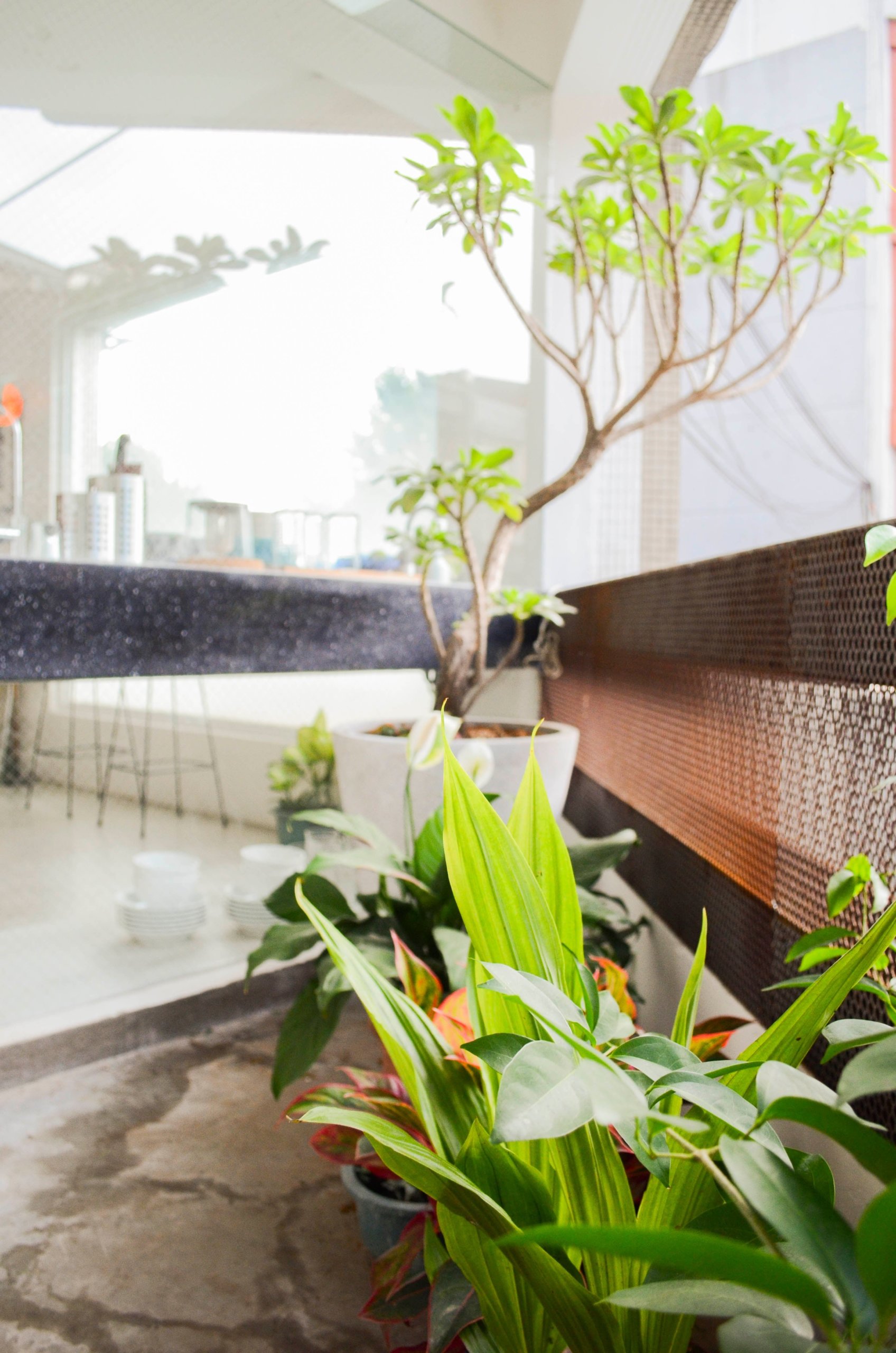 時冶設計舊辦公室 (6)