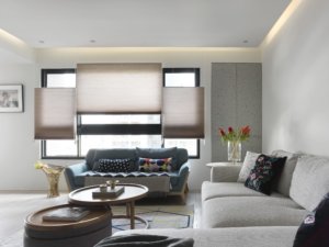 榮耀天璽馬宅 (13)